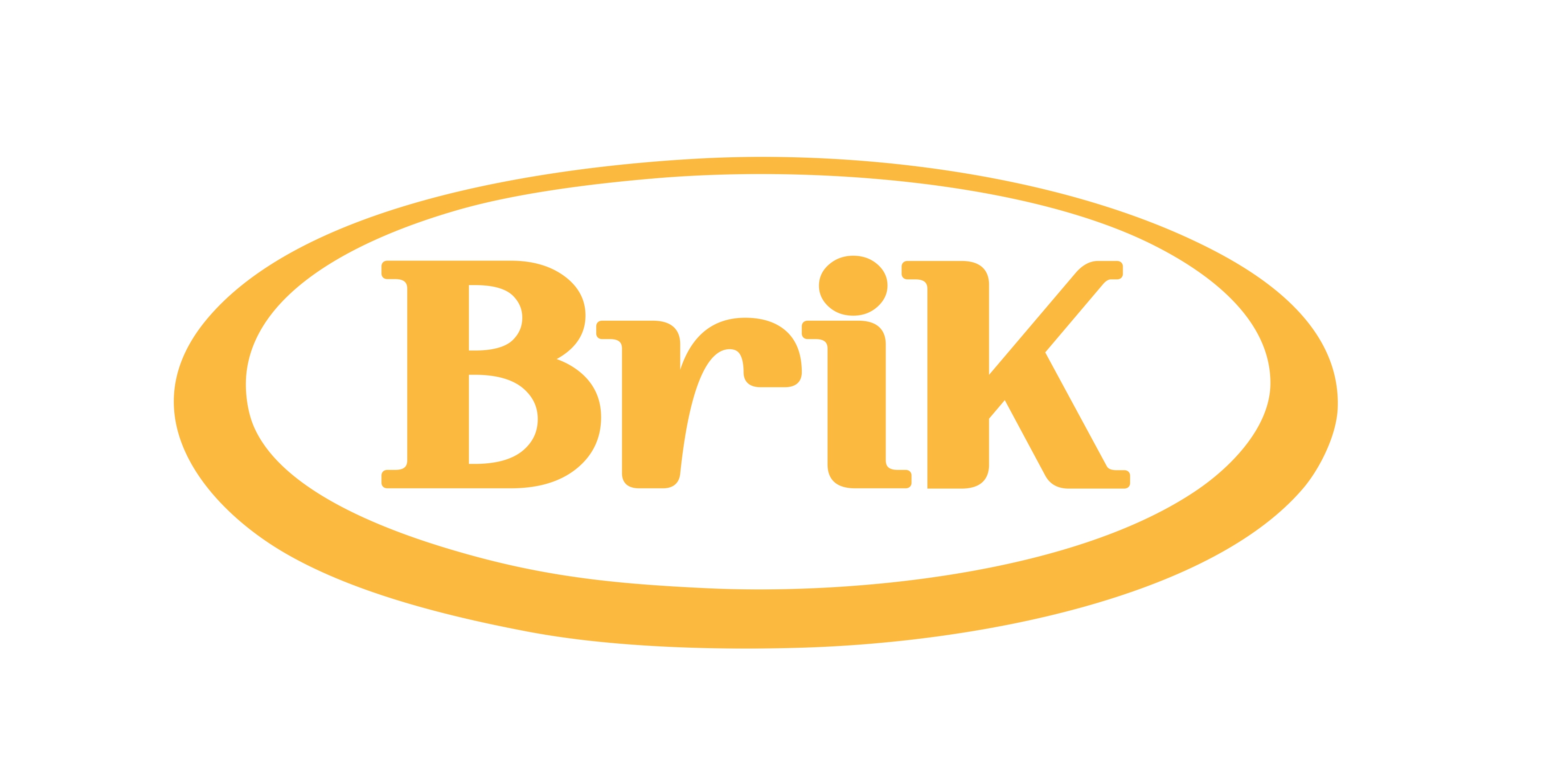 Logo BRIK